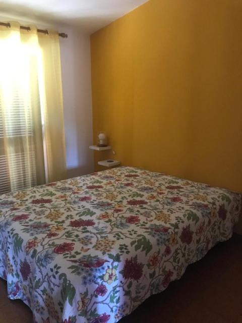 Casa Dos Pais Apartman Odeceixe Kültér fotó